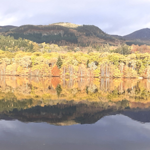 Autumn